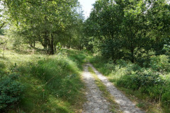 DSC03715