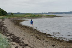 DSC03736
