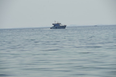 DSC04842
