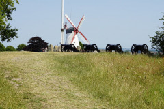 DSC04849