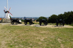 DSC04850