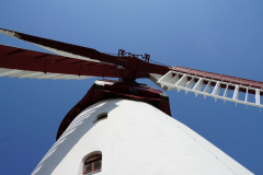 DSC04869