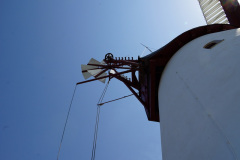 DSC04871