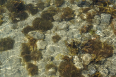 DSC04882
