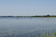 DSC04889
