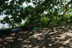 DSC04996