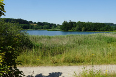 DSC05007