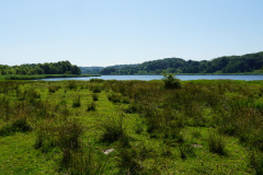DSC05023