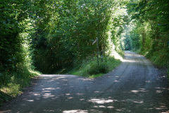 DSC05032