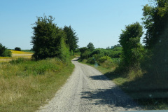 DSC05035
