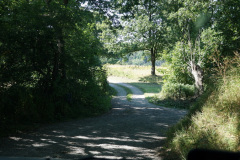 DSC05044