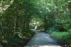 DSC05052