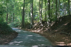 DSC05054