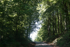 DSC05058