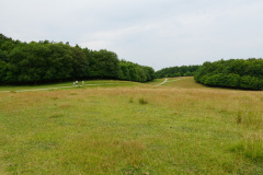 DSC05069