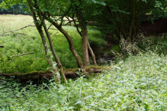 DSC05092