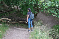 DSC05135