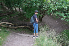 DSC05136