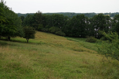 DSC05141
