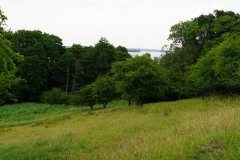 DSC05142