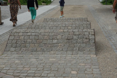 DSC05224