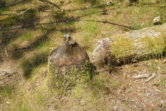 DSC06428