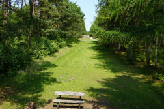 DSC06440