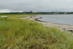 DSC06492