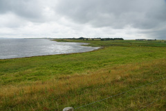 DSC06531