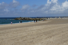 DSC06956