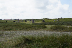 DSC06961