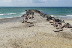DSC07100