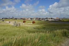 DSC07116