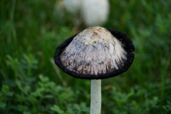 DSC01289