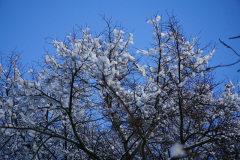 DSC05979