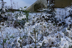 DSC05993