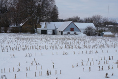 DSC07871