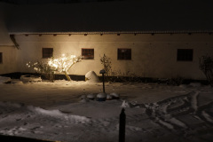 DSC07876
